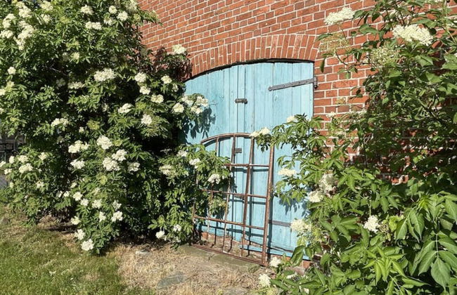 Holiday Home in Breetz ub. Lenzen - Foto 25