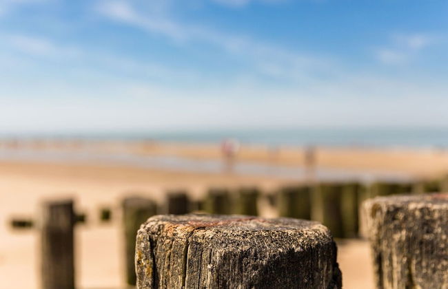 Modern Domburg Apartment - Photo 13