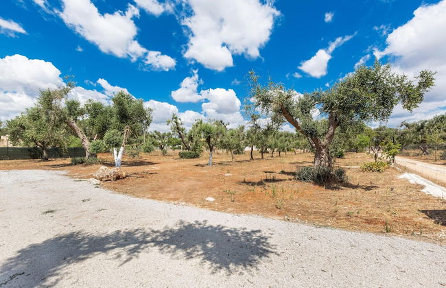 3619 Trulli Contecavallo by Perle di Puglia - Foto 27