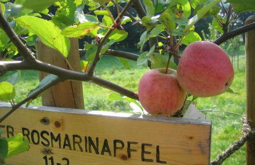 Apfelscheune Cannewitz - Foto 64