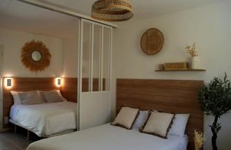 La paillotte - Studio terrasse proche tram - Foto 7