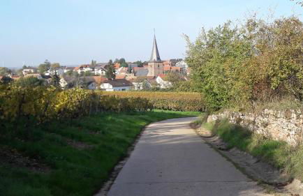 Ferienwohnung Zum Weinberg bis 4 Personen - Im Herzen der Pfalz - Foto 48