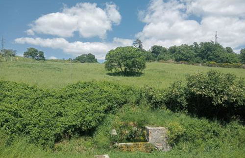 ai Confini - Foto 11