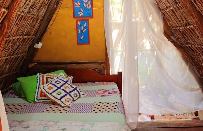 Pousada Pouso das Araras - Foto 14