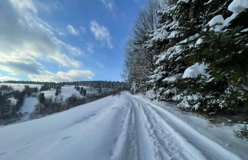 Filipówka - dom z sauną w Karkonoszach - Foto 37