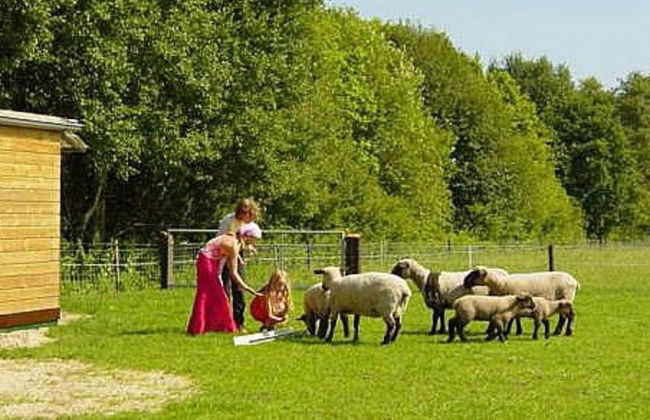 Homely Apartment in Noordwolde With Balcony - Foto 61