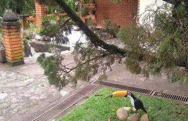 Chácara dos Pinheiros - Foto 42