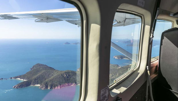 Taking in the scenery from above