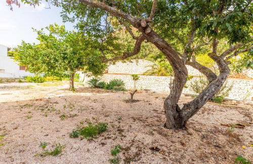 Villa 14 - El Portet - Foto 29