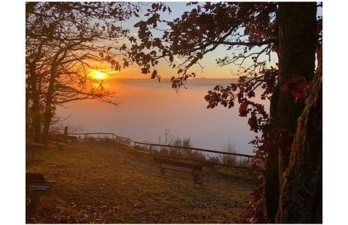 Holiday Apartment Falkenlay - Foto 33