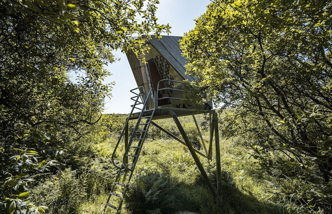 K4 Kudhva Treehouse Cabin With sea View - Photo 1