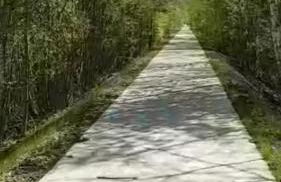 Ferienwohnung Quedlinburg OT Gernrode Harz - Foto 18