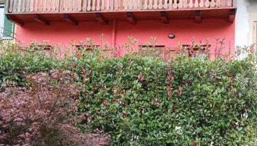 123 la casa nel bosco - Foto 2