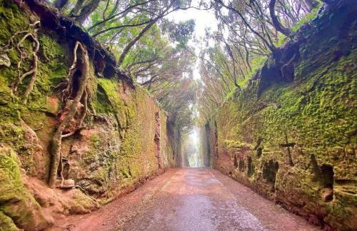 EDEN RENTALS Oasis Penthouse in Santa Cruz - Foto 42