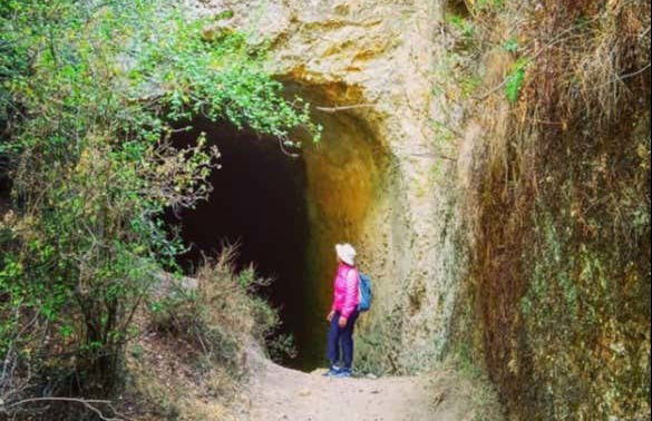 Nevado de Toluca National Park Hikes - Photo 4