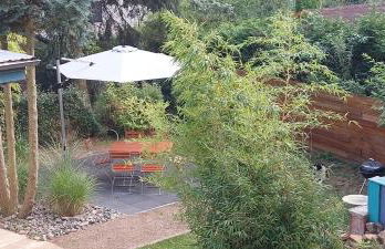 Ferienhaus Wald-Idyll Meisdorf - Foto 27