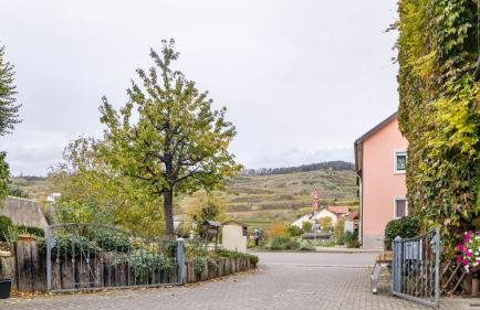 Ferienwohnung Ipser - Foto 11