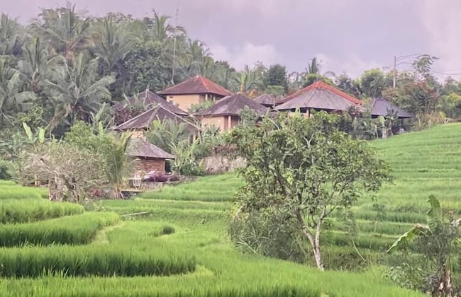 Balitrees Retreats - Foto 15