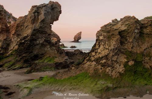 La Huerta, megustarural - Foto 13