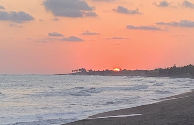 Rancho Los Chatos - Photo 53