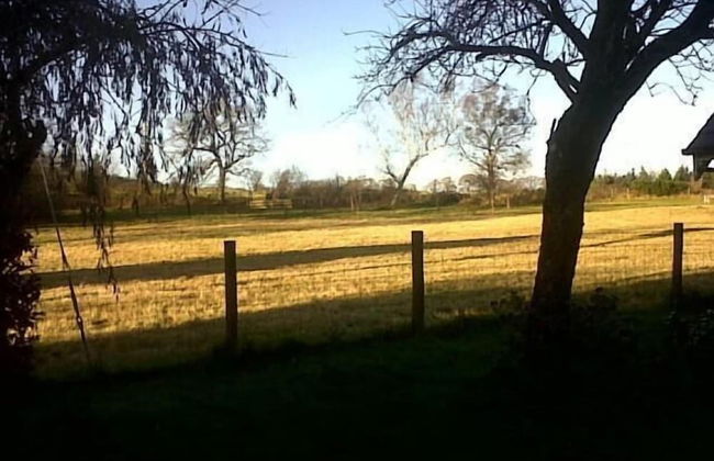 Lakeside Lodge - Foto 24