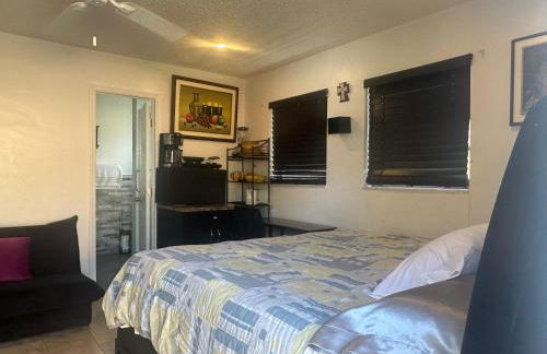 My Garden in Miami Florida - Photo 34