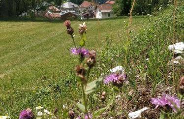 La Casa dei Cervi a Vinigo - Foto 7