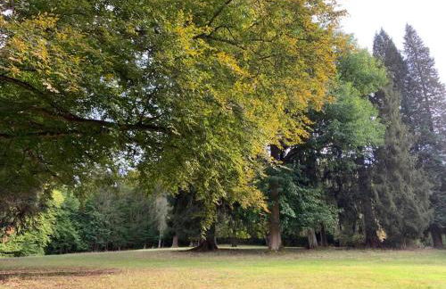 Landsitz Kammerburg - Foto 65