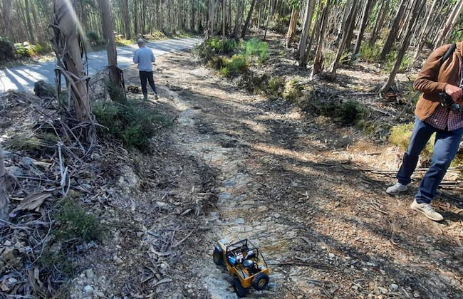 Mimosa Village - Foto 62