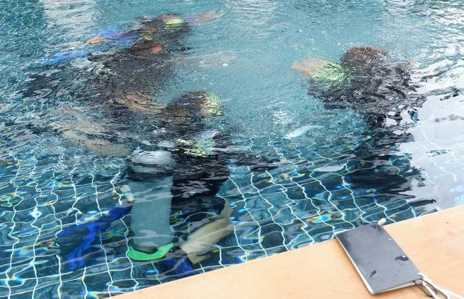 Curso de buceo PADI Open Water - Foto 4