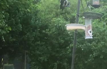 SUNNYSIDE COTTAGE HUTTON LE HOLE NORTHYORKSHIRe - Photo 7