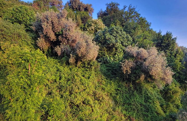 Regina's Residence-One Bedroom Apartment - Foto 12