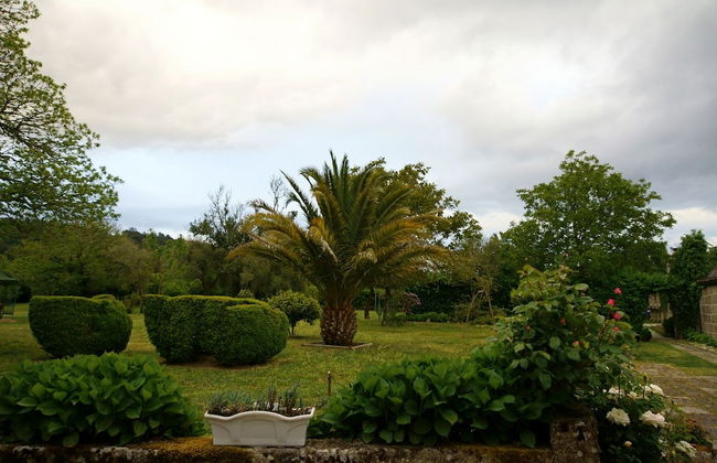 Pazo Almuzara - Photo 30