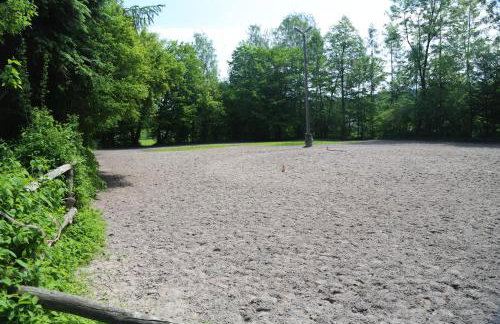 Gospodarstwo Agroturystyczne Stary Młyn Wilczkowice - Foto 24