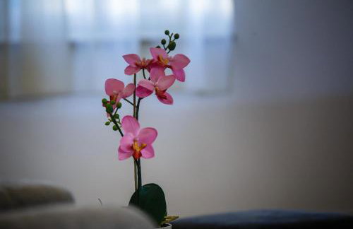 Apartments Foric Rab with Heated Pool, Sauna & Gym - Photo 49