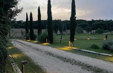 Más Figueres - Foto 50