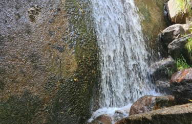 Casa Maria da Eira - Foto 54