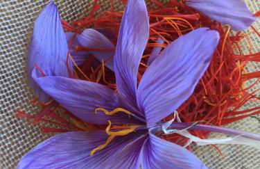 Agriturismo LaValleggia - Foto 113