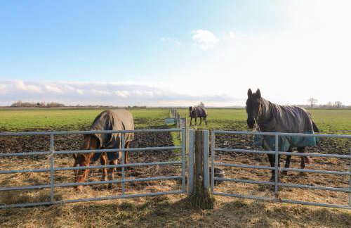 Granada at Avalon Eco Farm - Foto 25