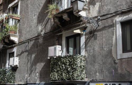 Terra Dell'Etna - Foto 82