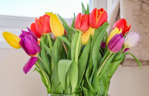 Honeysuckle Lodge - Foto 5