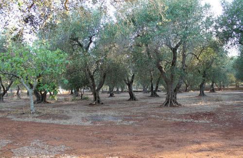 Villetta Salento Lu Trolitu - Foto 21