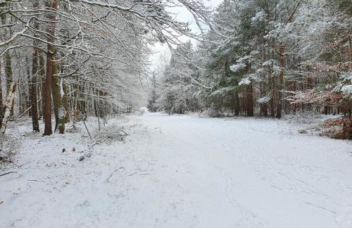 Küstenliebe 8 - Foto 43