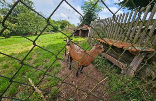 Apartments Zur alten Scheune Göringen - Foto 60