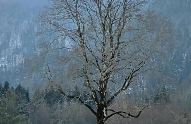 Ferienwohnung Geigelsteinblick - Photo 16