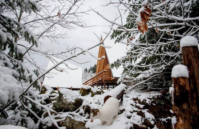 Kedra Village - Foto 17