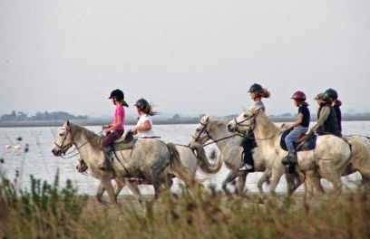 Rêves d'Ô en Camargue, clim réversible, parc naturel - Photo 18