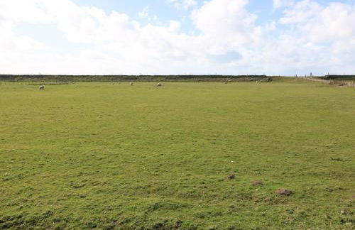 Sea Spray - Photo 22