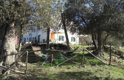 la masseria di Antonio e Teresina - Foto 80