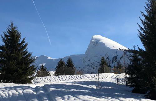 L'Ours Blanc Lodge - Photo 26